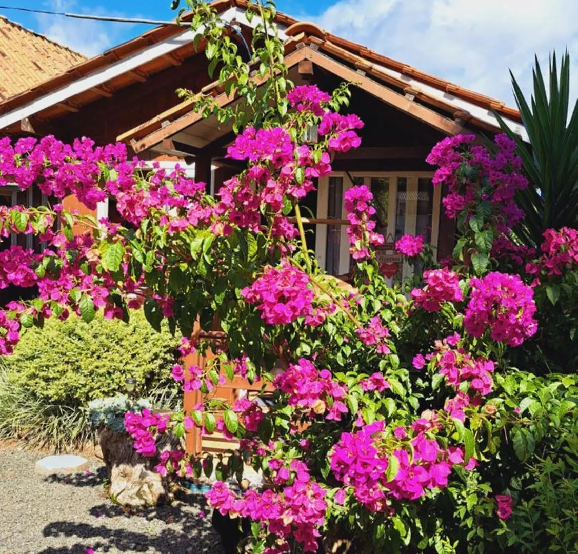 Chalés Doce Luar casas de temporada Urubici